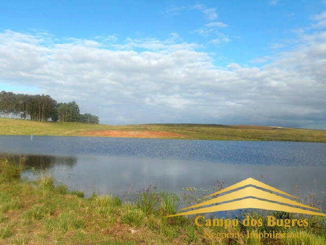 #877 - Fazenda para Venda em São Vicente do Sul - RS