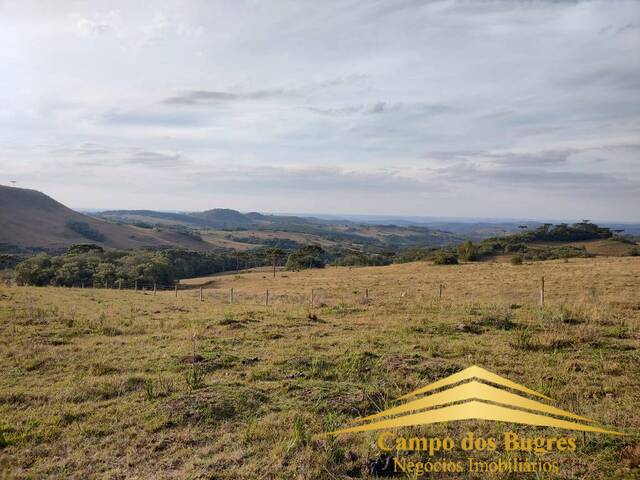 #878 - Fazenda para Venda em Caxias do Sul - RS