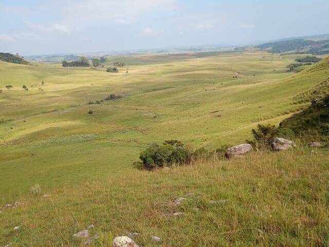 Fazenda para Venda em São Francisco de Paula - 4