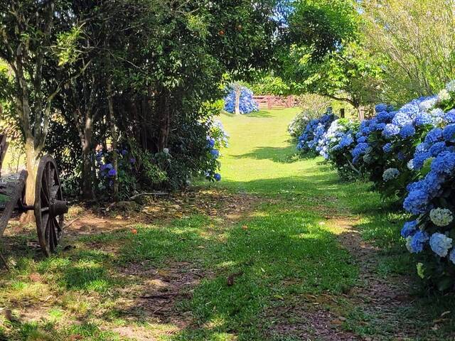 #887 - Chácara para Venda em Flores da Cunha - RS