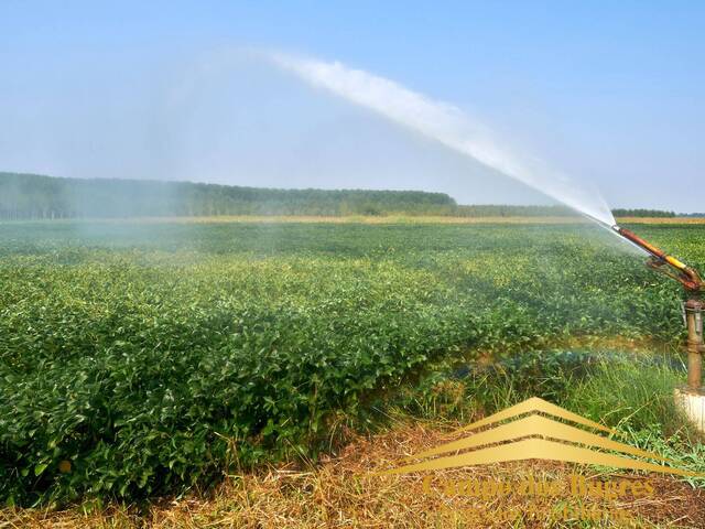 #889 - Fazenda para Venda em Bagé - RS