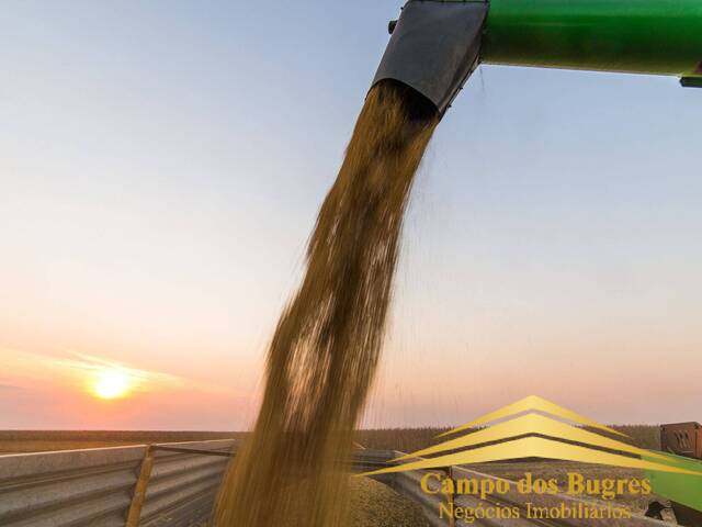 Fazenda para Venda em Bagé - 4