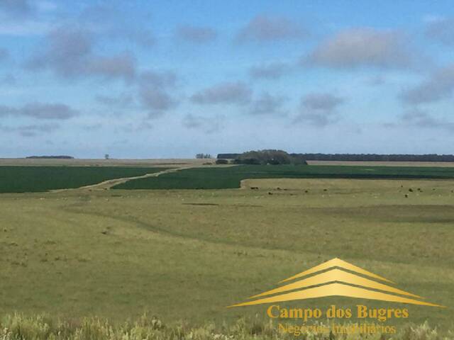 #894 - Fazenda para Venda em Quaraí - RS