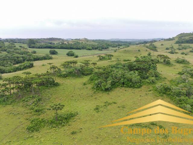 #897 - Fazenda para Venda em Caxias do Sul - RS