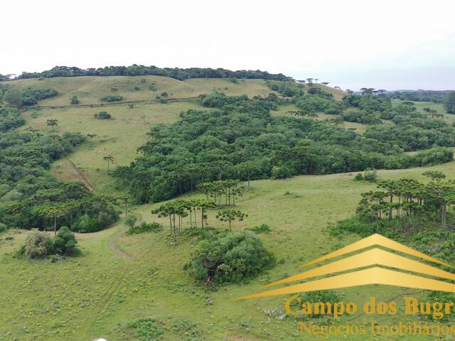 #897 - Fazenda para Venda em Caxias do Sul - RS