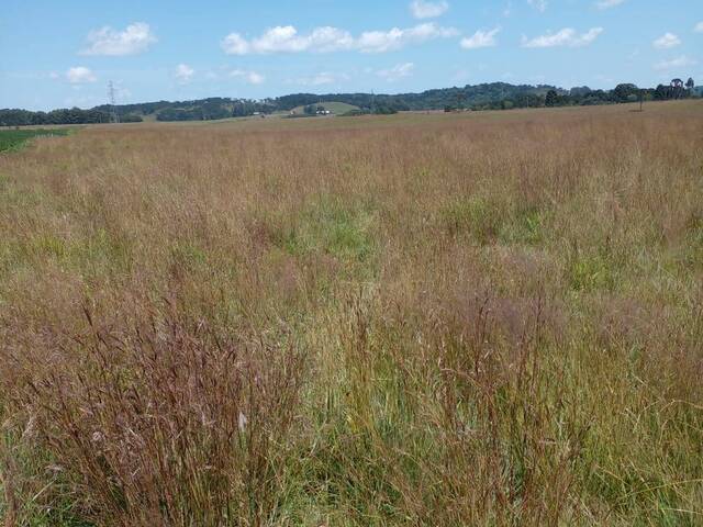 #898 - Fazenda para Venda em São Francisco de Paula - RS