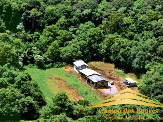 Venda em Área Rural de Caxias do Sul - Caxias do Sul