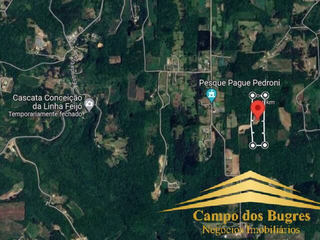 Chácara para Venda em Caxias do Sul - 4