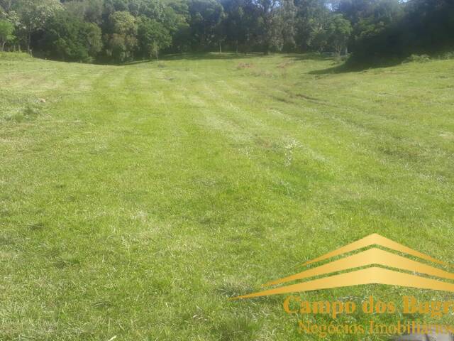 Chácara para Venda em Caxias do Sul - 4