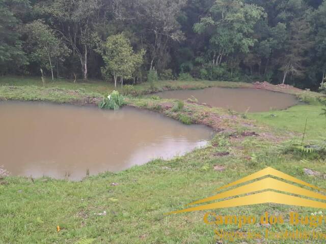 Chácara para Venda em Caxias do Sul - 5