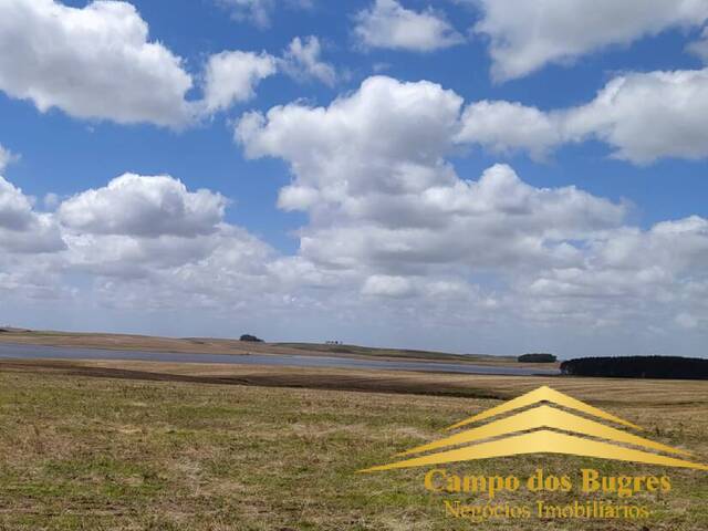 #931 - Fazenda para Venda em Jaguarão - RS