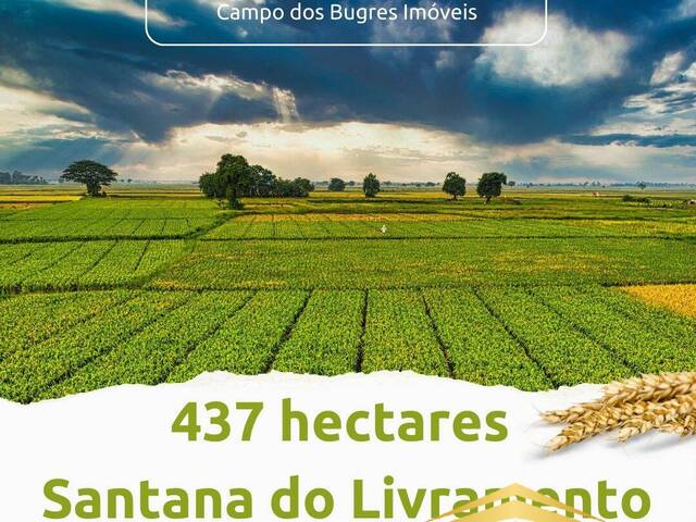 #933 - Fazenda para Venda em Santana do Livramento - RS