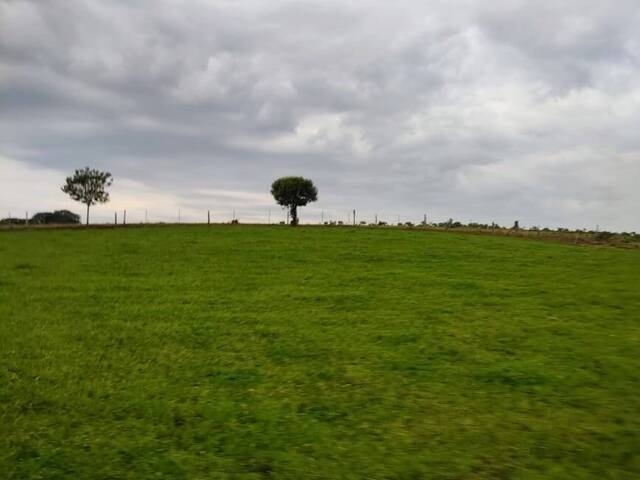 #934 - Fazenda para Venda em Caxias do Sul - RS