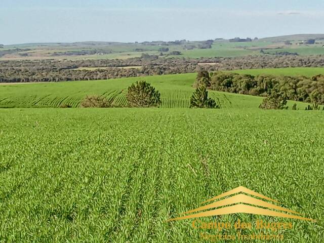 #948 - Fazenda para Venda em Bagé - RS