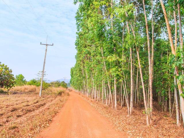 #965 - Chácara para Venda em São Francisco de Paula - RS