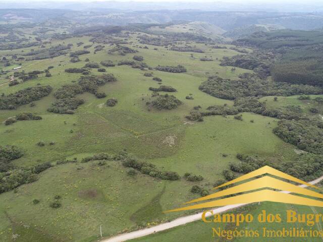 #974 - Fazenda para Venda em São Francisco de Paula - RS