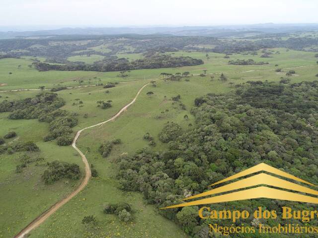 #974 - Fazenda para Venda em São Francisco de Paula - RS