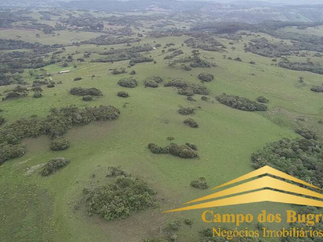 #974 - Fazenda para Venda em São Francisco de Paula - RS