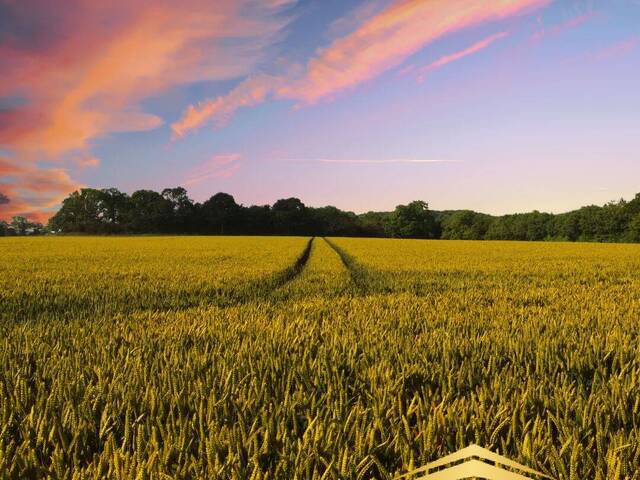 #998 - Fazenda para Venda em Alegrete - RS