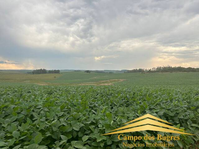#999 - Fazenda para Venda em Santana do Livramento - RS