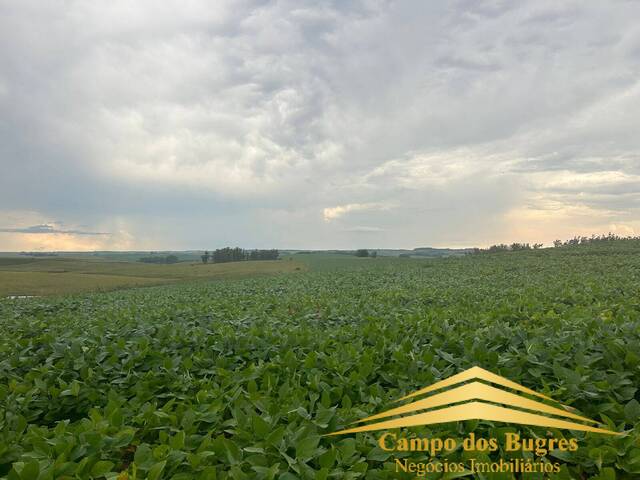 #999 - Fazenda para Venda em Santana do Livramento - RS
