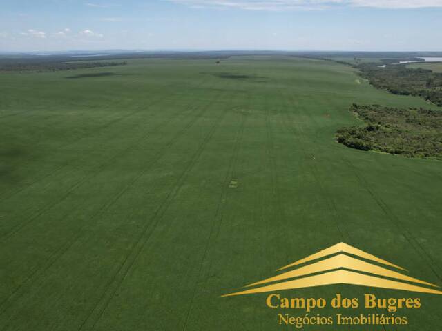 #1000 - Fazenda para Venda em São Gabriel - RS