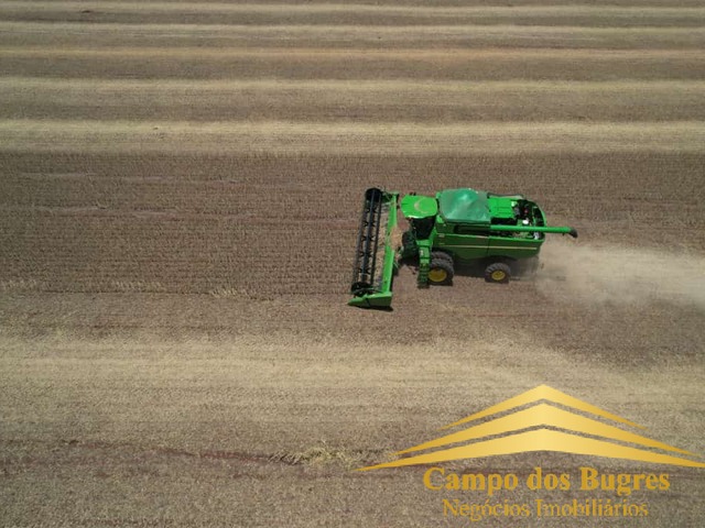 #1000 - Fazenda para Venda em São Gabriel - RS