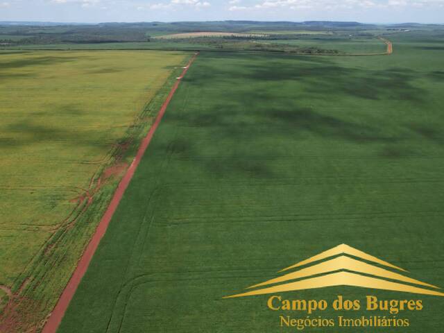 #1000 - Fazenda para Venda em São Gabriel - RS