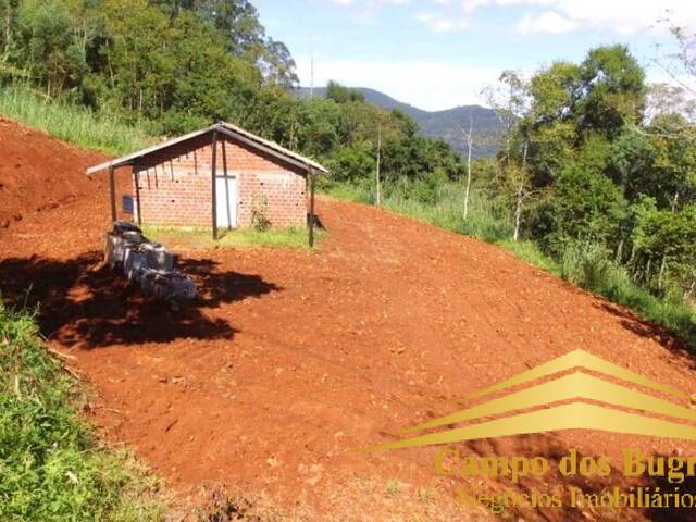 Chácara para Venda em Caxias do Sul - 4