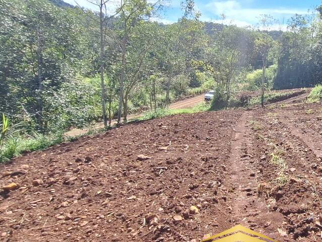 Chácara para Venda em Caxias do Sul - 5