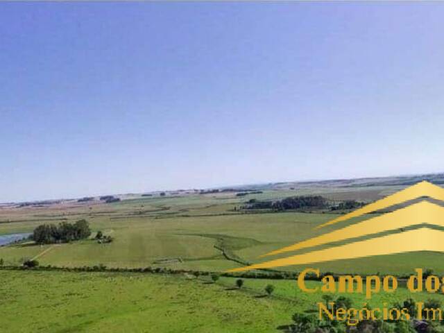 Fazenda para Venda em Cachoeira do Sul - 4