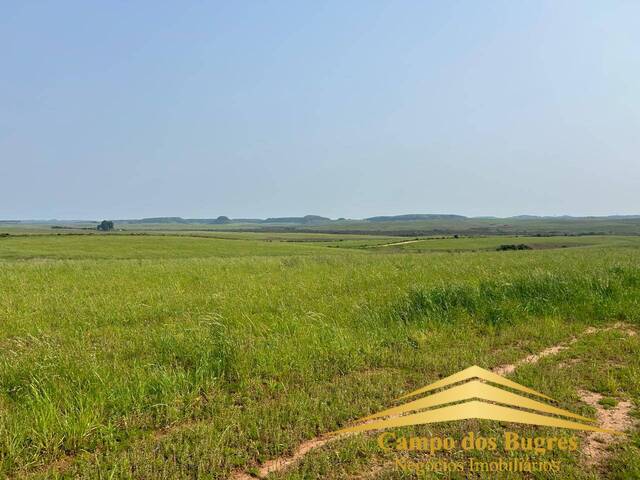Fazenda para Venda em Santana do Livramento - 4