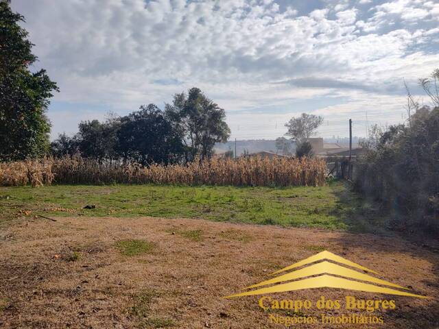 Área para Venda em Caxias do Sul - 4
