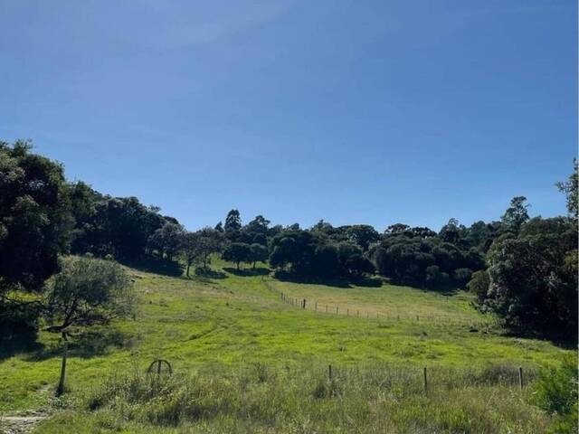 Chácara para Venda em Caxias do Sul - 4