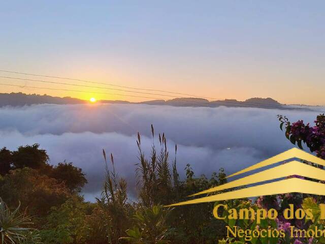 Venda em Vila Cristina - Caxias do Sul