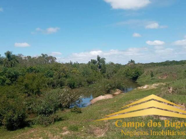 #1029 - Fazenda para Venda em Santana do Livramento - RS