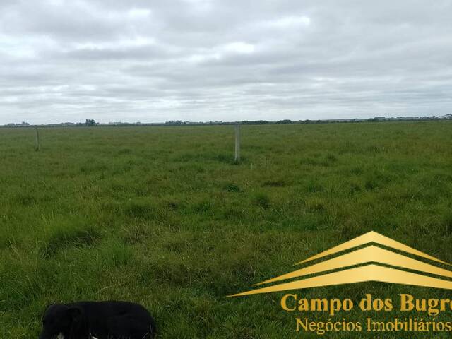 Fazenda para Venda em Santana do Livramento - 5