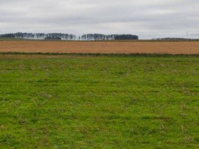 #1036 - Fazenda para Venda em Santana do Livramento - RS