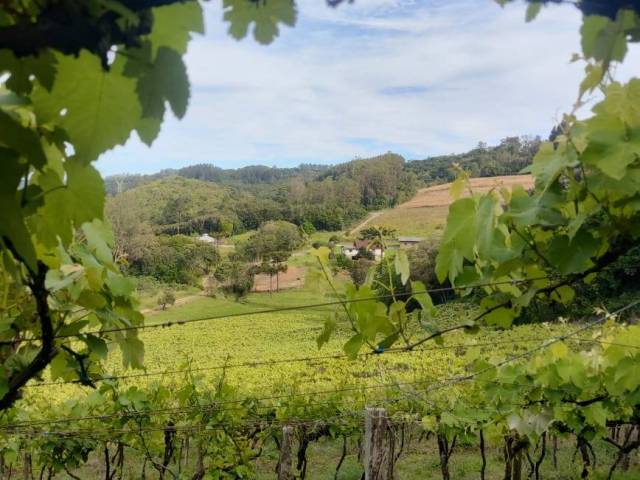 #1057 - Chácara para Venda em Caxias do Sul - RS