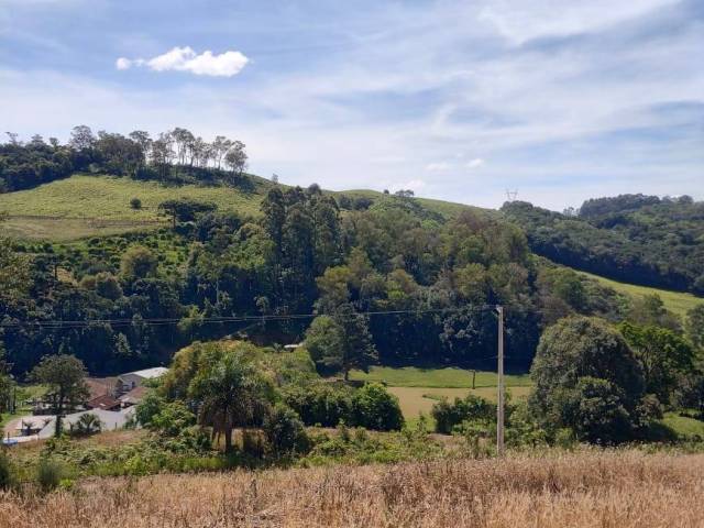 #1057 - Chácara para Venda em Caxias do Sul - RS