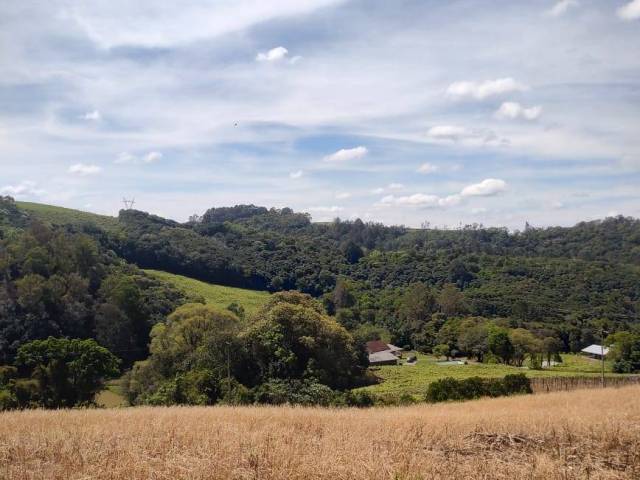 #1057 - Chácara para Venda em Caxias do Sul - RS