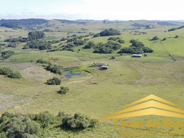 #1063 - Chácara para Venda em Caxias do Sul - RS