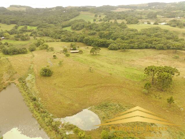 Chácara para Venda em Caxias do Sul - 4