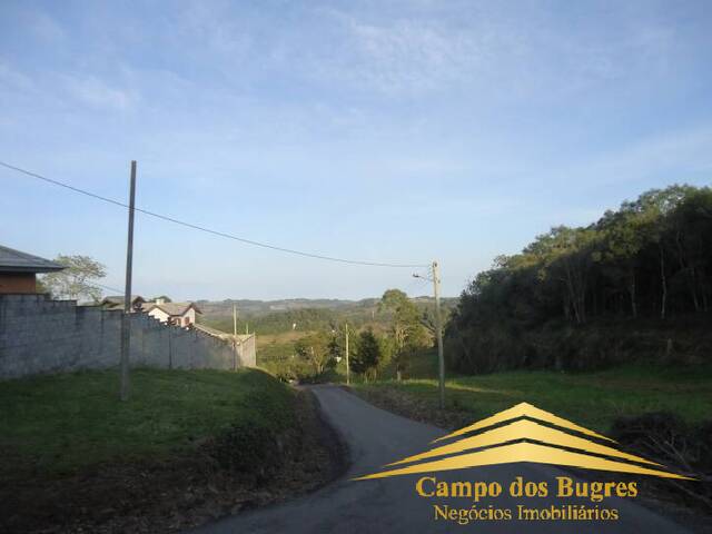 #330 - Terreno para Venda em Flores da Cunha - RS