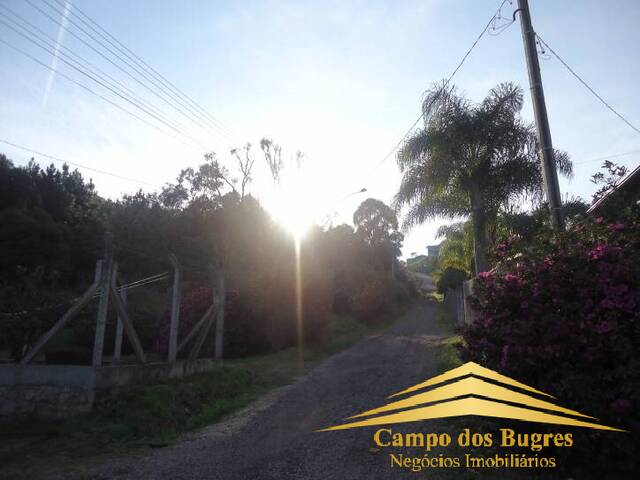 Terreno para Venda em Flores da Cunha - 4