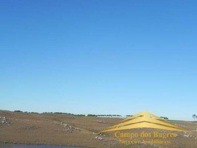#34 - Chácara para Venda em São Francisco de Paula - RS