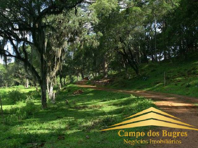 Chácara para Venda em São Francisco de Paula - 1