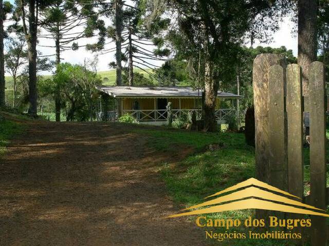 Chácara para Venda em São Francisco de Paula - 3