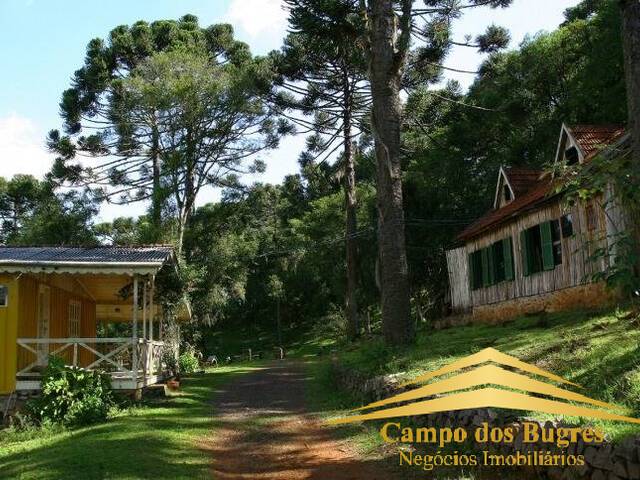 Chácara para Venda em São Francisco de Paula - 4