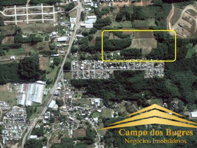 Terreno para Venda em Flores da Cunha - 5